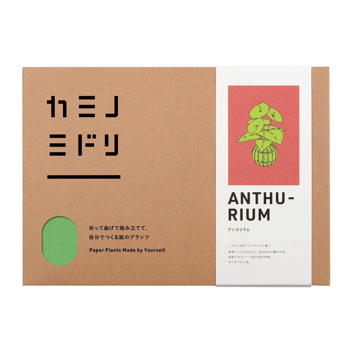 Anthurium