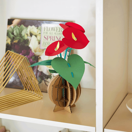 Anthurium