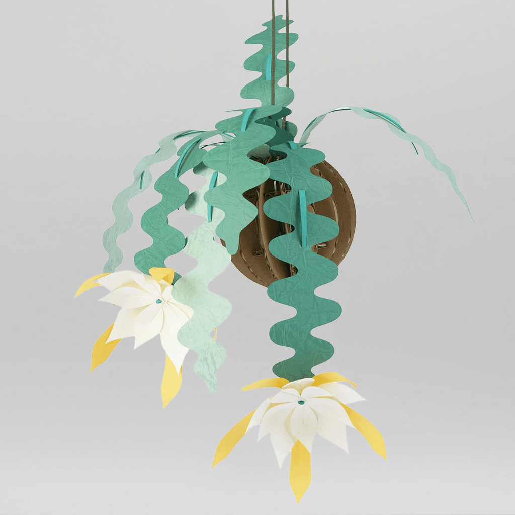 Disocactus Anguliger