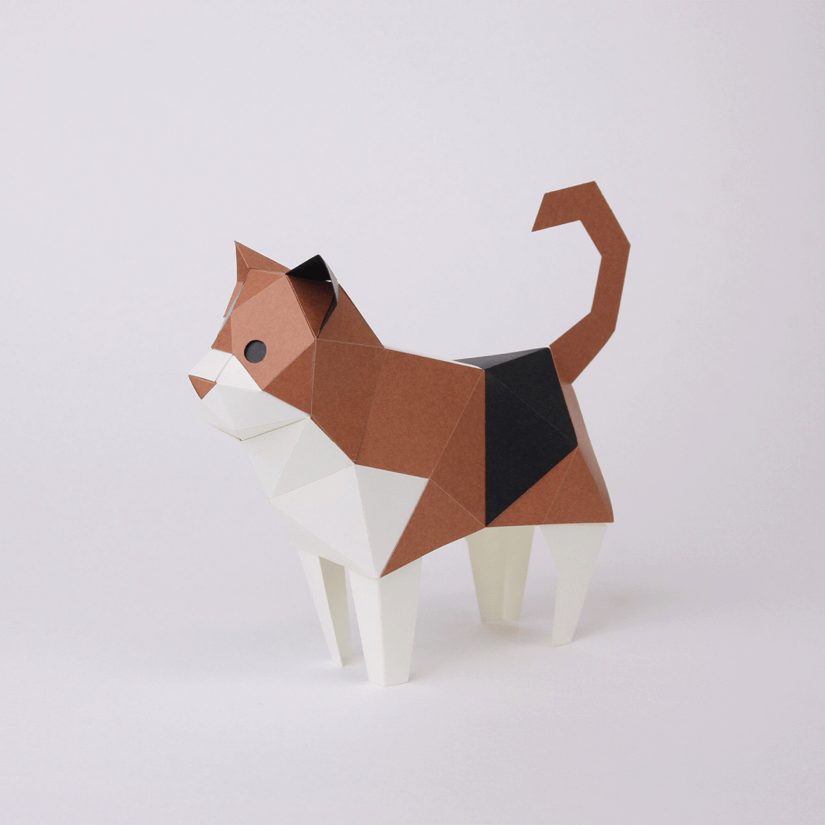 Chat Calico