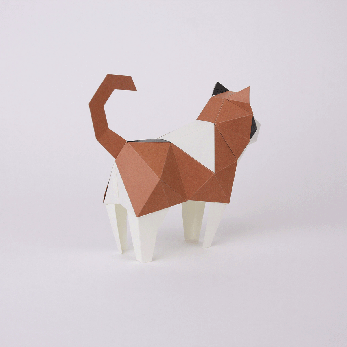 Chat Calico