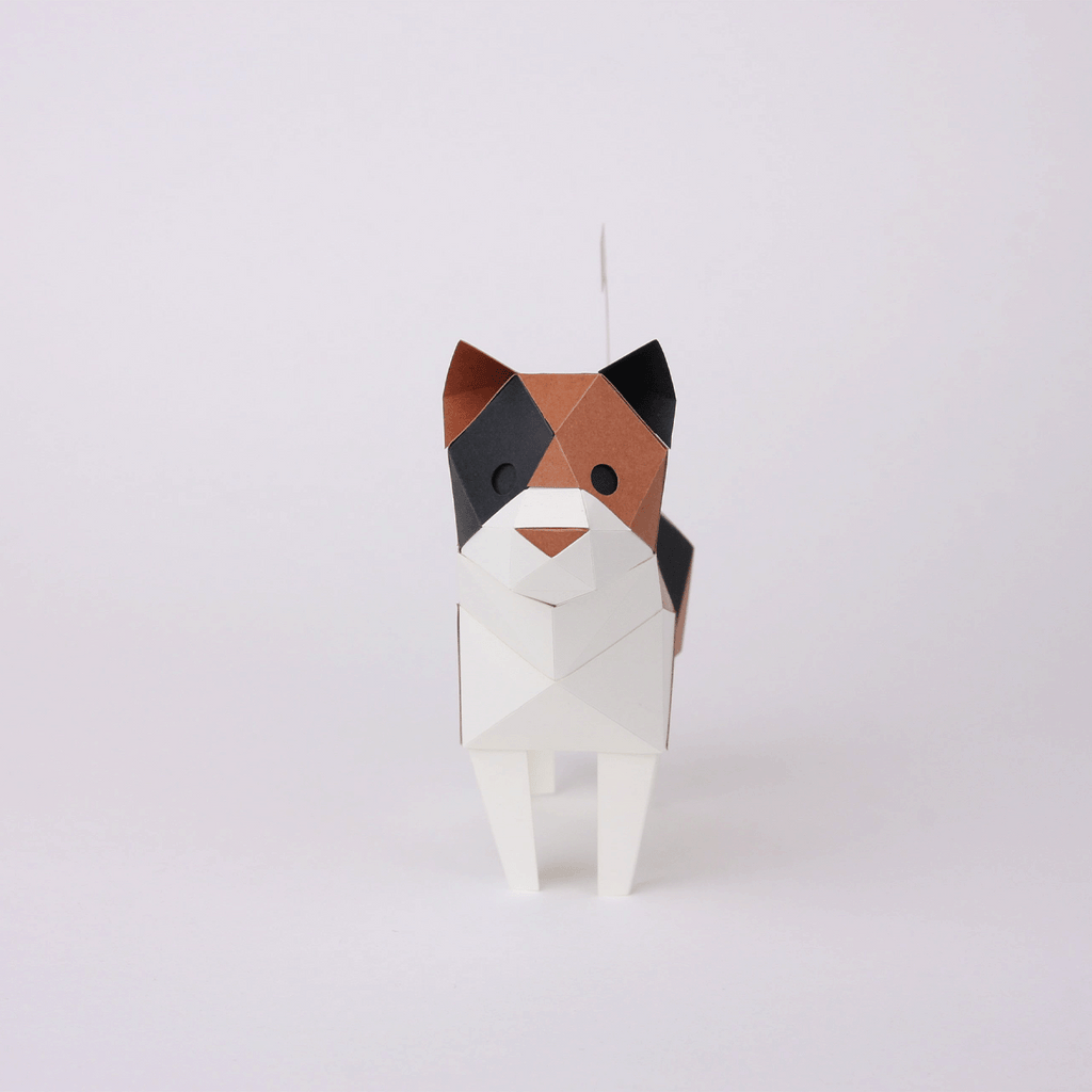 Chat Calico