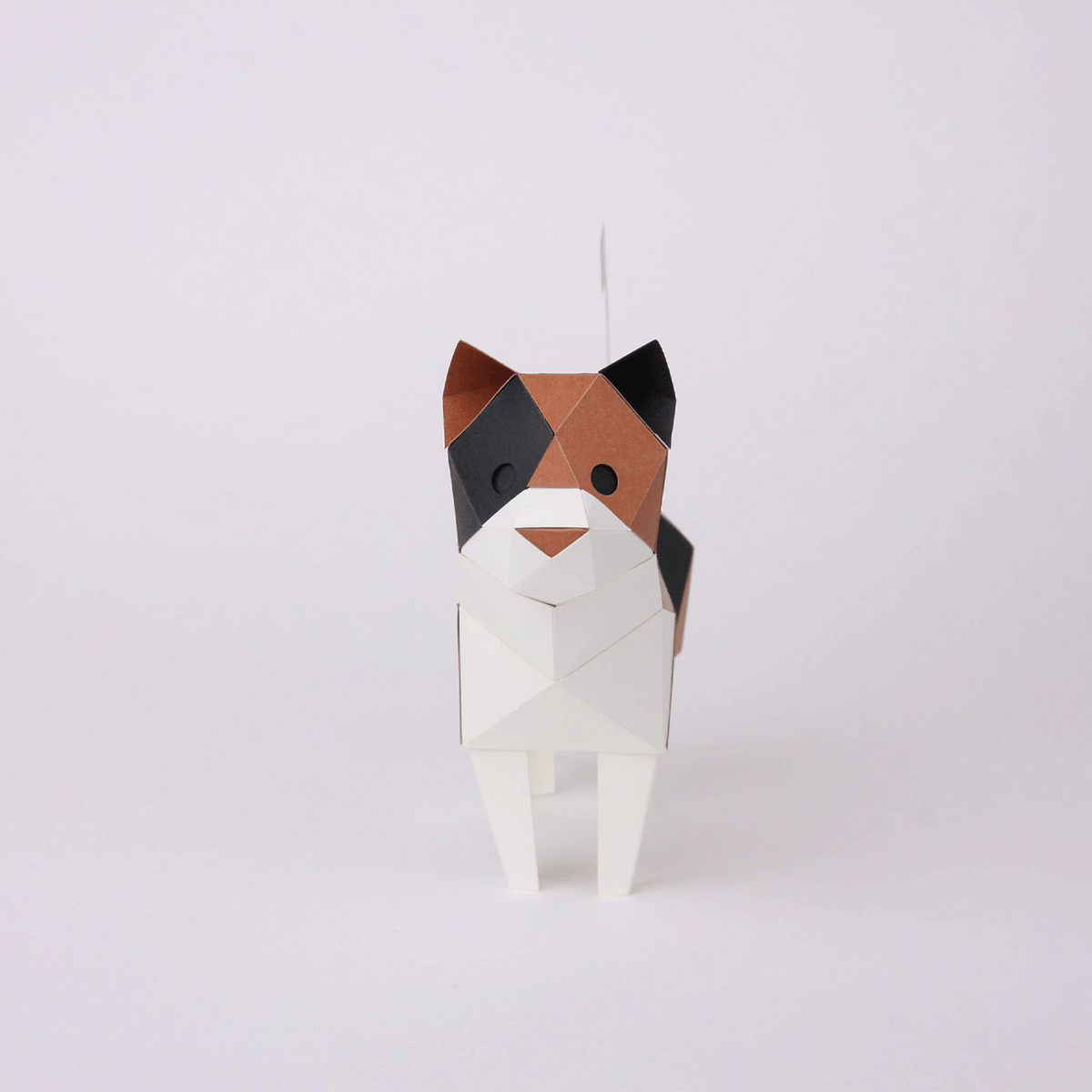 Chat Calico