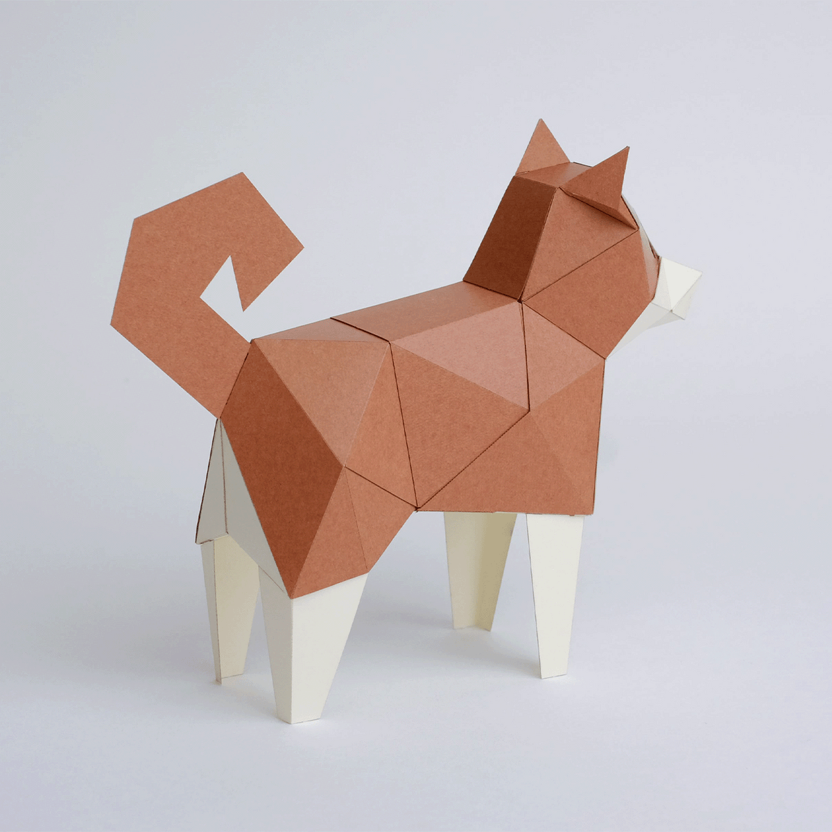Shiba Inu