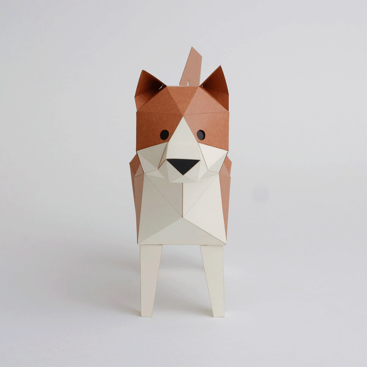 Shiba Inu
