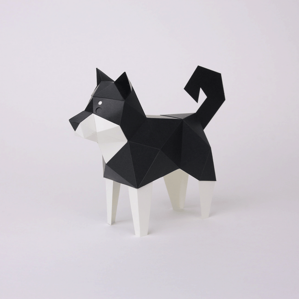 Shiba Inu Noir