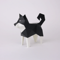 Shiba Inu Noir