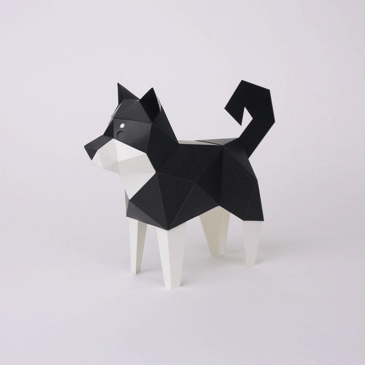 Shiba Inu Noir