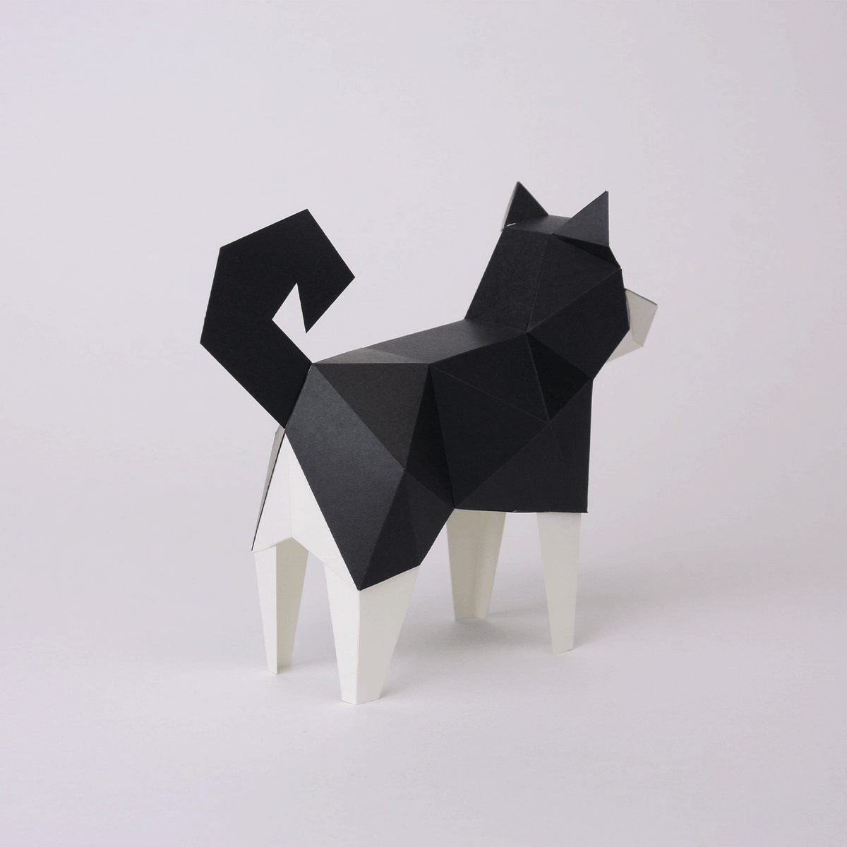 Shiba Inu Noir