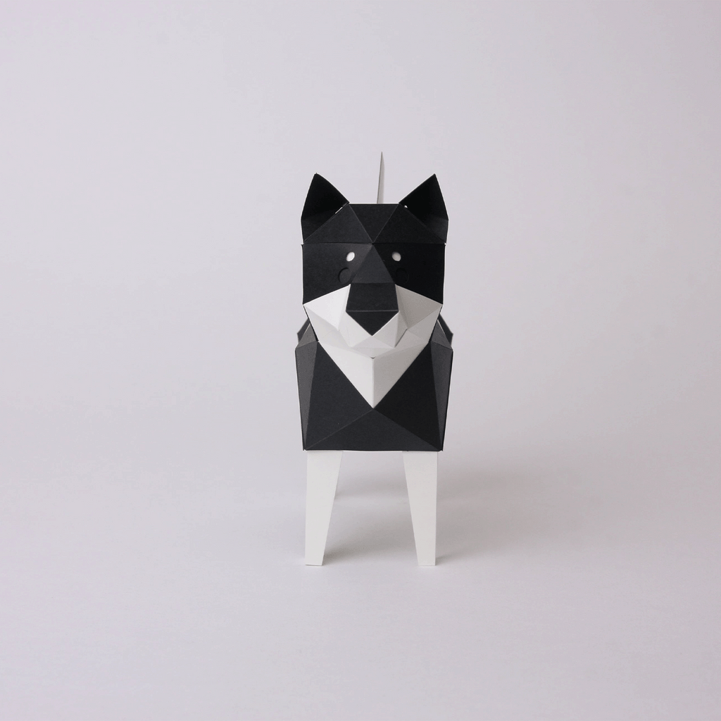 Shiba Inu Noir