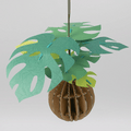 Monstera