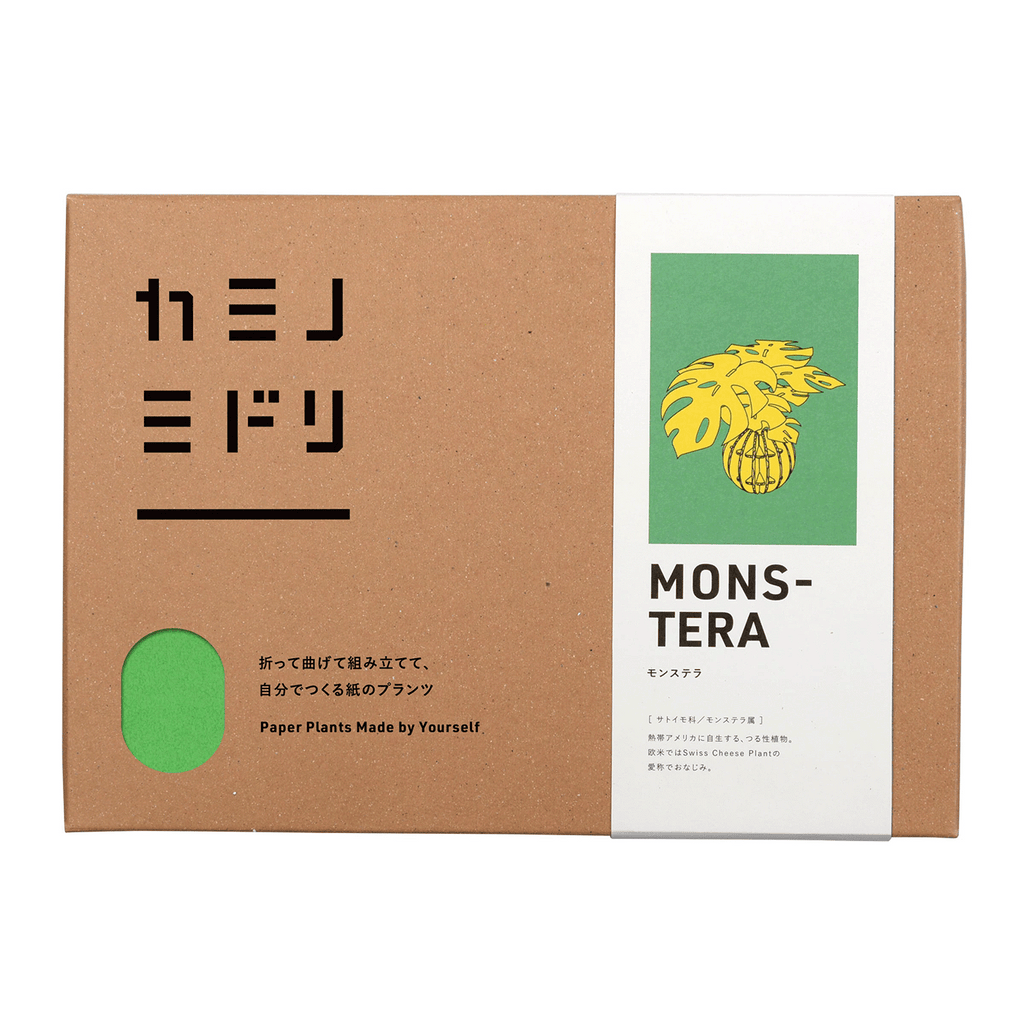 Monstera