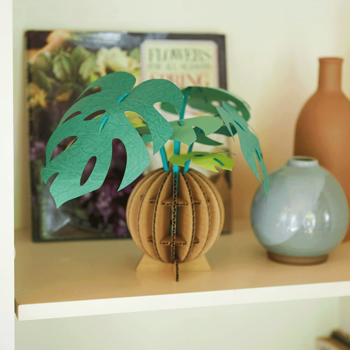 Monstera