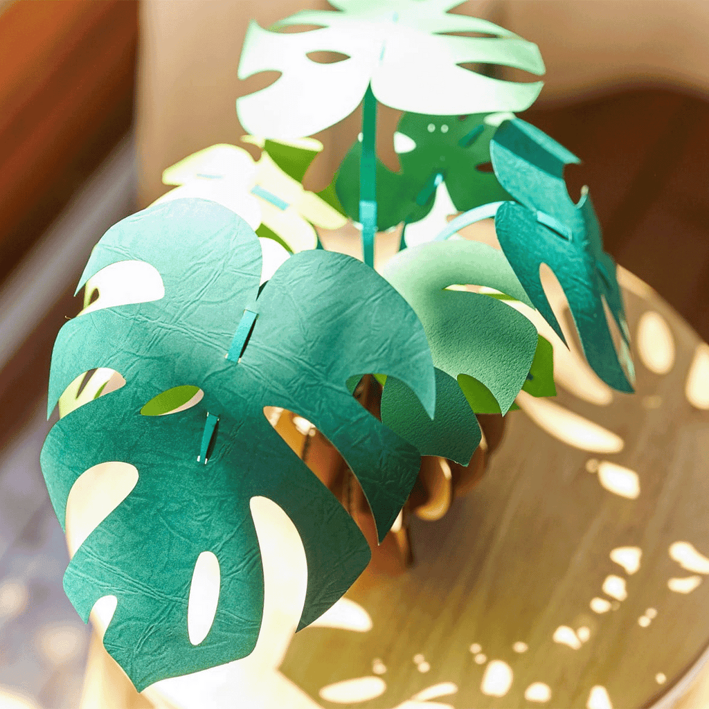 Monstera