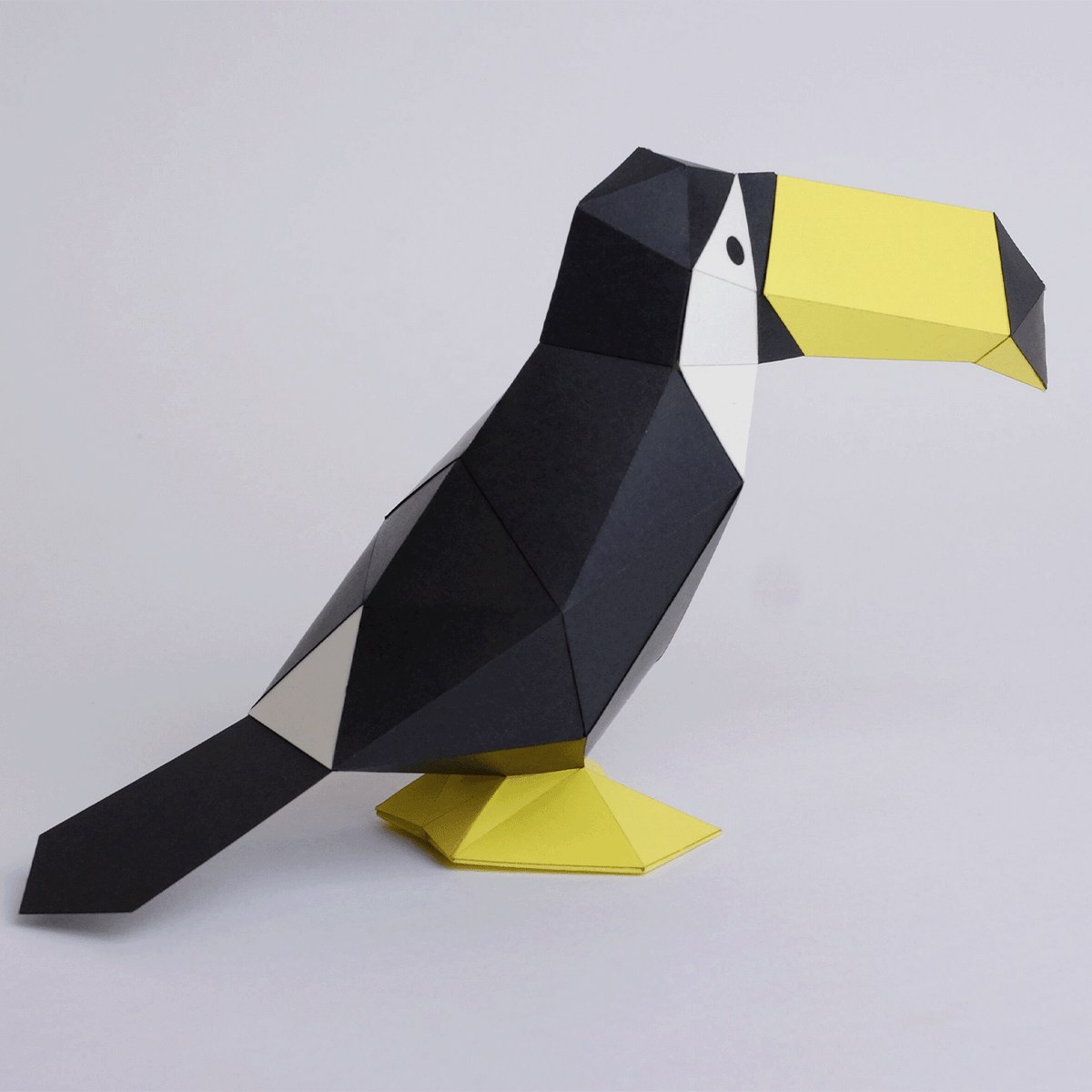 Toucan